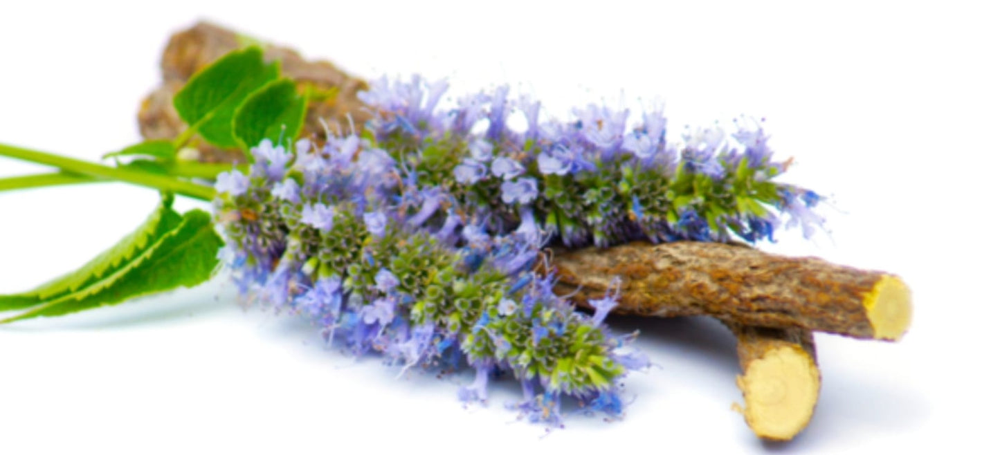 Licorice Extract