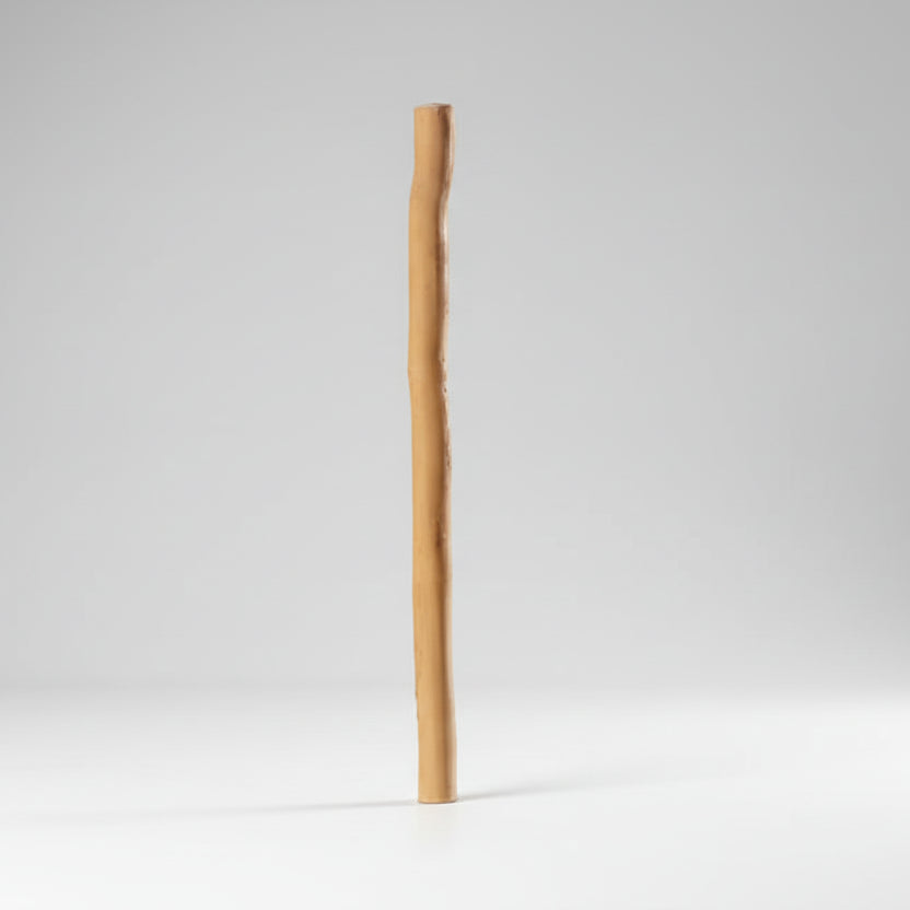 Miswak selected from the roots of the original Arak tree
مسواك شجر الاراك