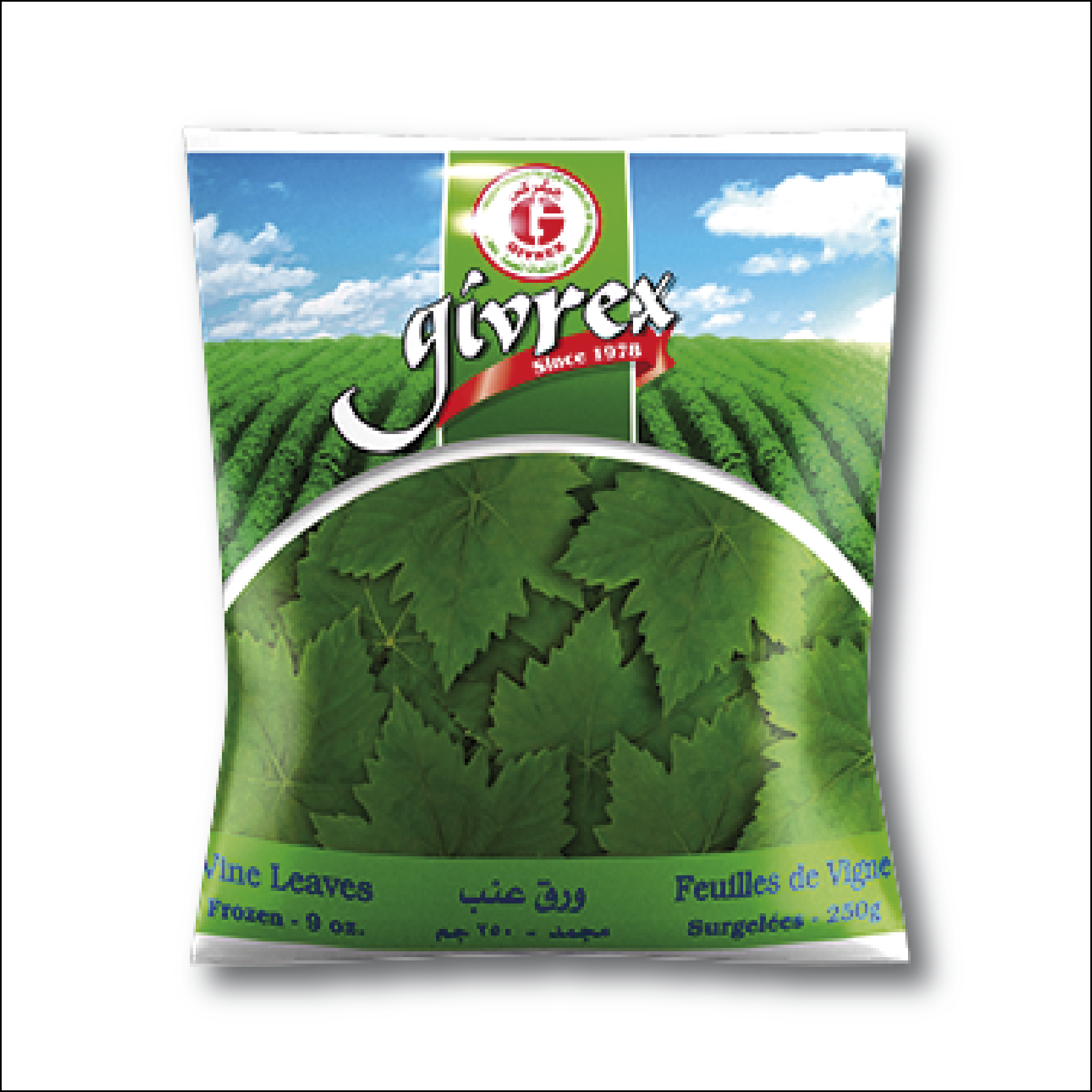 Givrex vine leaves packaging with green field ورق عنب 